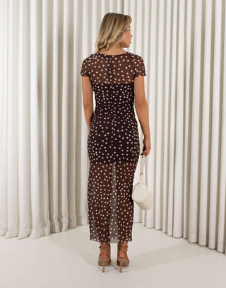 Piper brown polka dot mesh T-shirt dress with lining