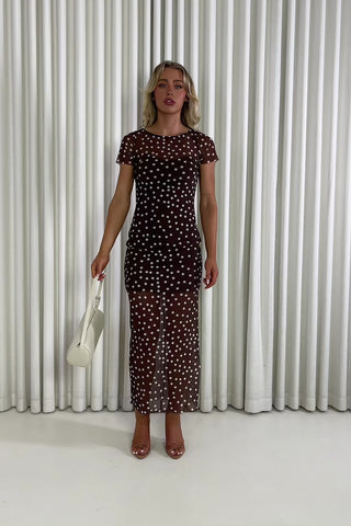 Piper brown polka dot mesh T-shirt dress with lining