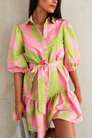 Carroll Dress - Pink Green