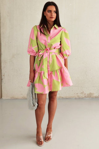 Carroll Dress - Pink Green